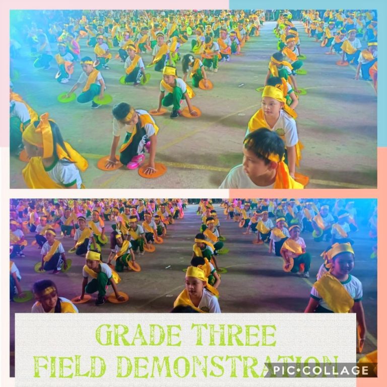 71241591_417044962332835_1414162147356704768_n