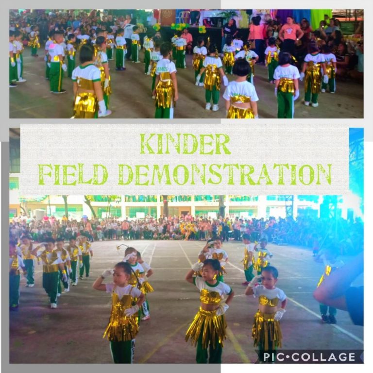 71298219_2654592581271647_1911903008187219968_n