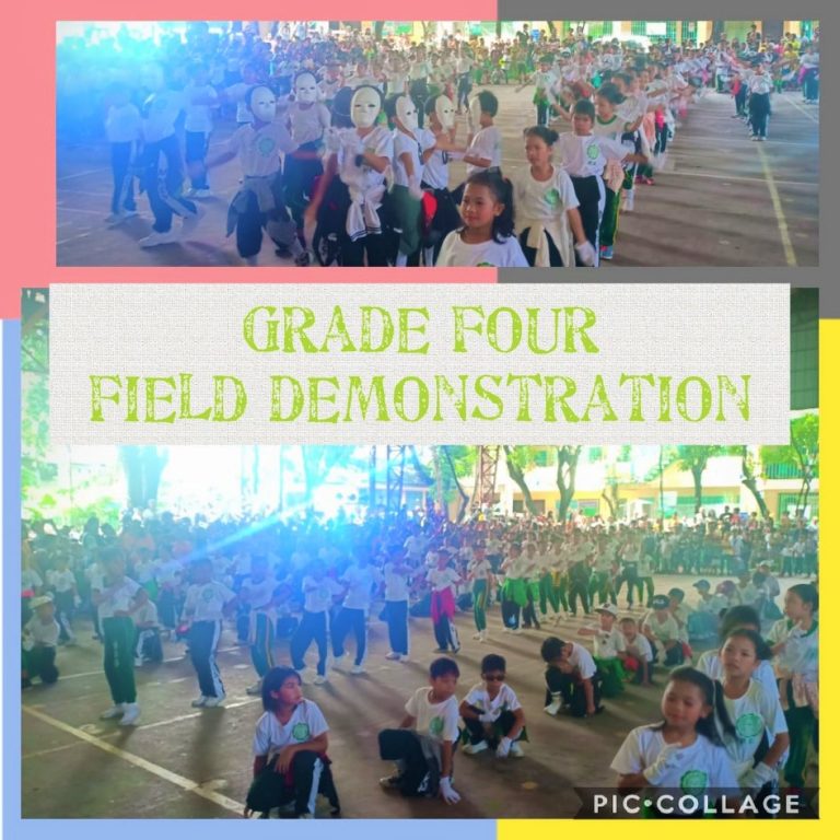 71401851_699329270585857_6133512125332586496_n