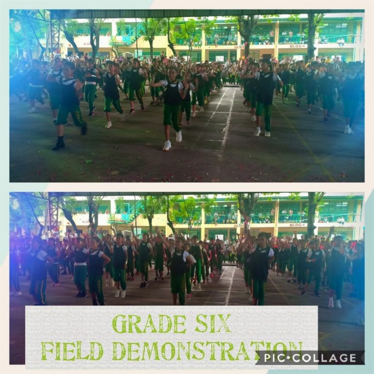 71531904_2710403812305464_6500701519556378624_n