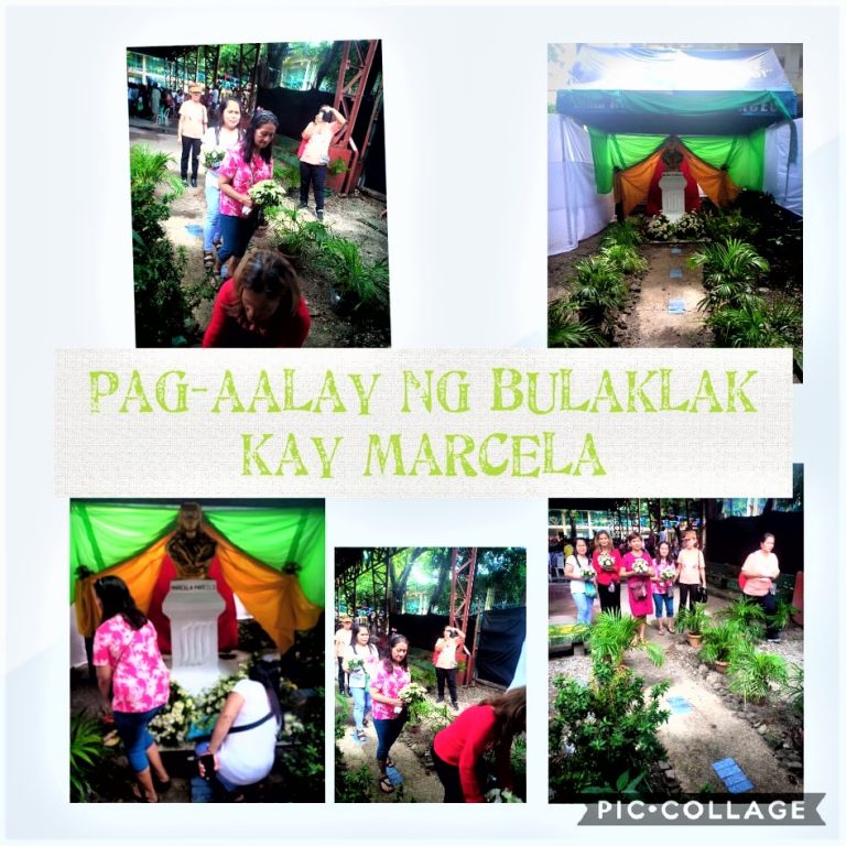 71563899_2582988461759218_2893063586601500672_n (1)