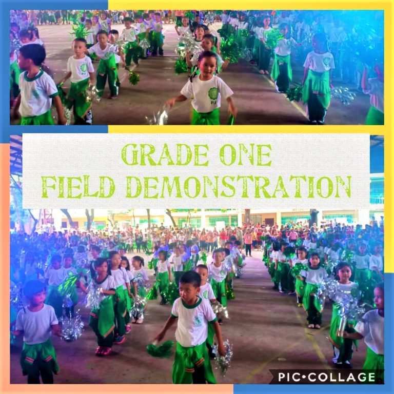 72458484_2650353571663595_1314851177644425216_n